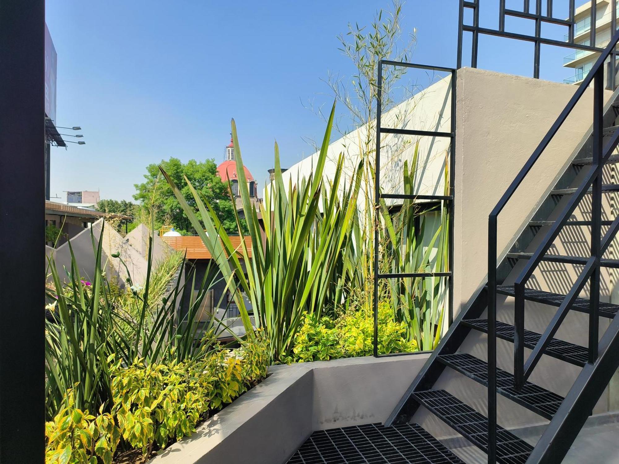 Flats Friends Condesa-Pelotari Apartamento Cidade do México Exterior foto
